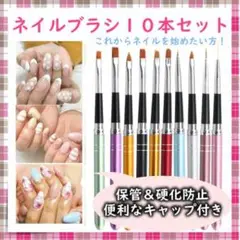 ジェルネイルブラシ 10本セット セルフネイル ネイル キャップ付き 初心者