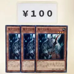 MNo.608 魔サイの戦士 3枚