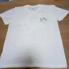 白地Tシャツ