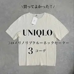 【UNIQLO】3Dメリノリブクルーネックセーター　M