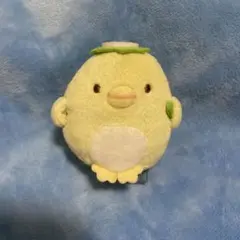 【初期 レア タグ付 2016】 すみっコ ぺんぎん てのりぬいぐるみ かっぱ 初期タグ すみっコぐらし てのりぬいぐるみ ぺんぎん(本物