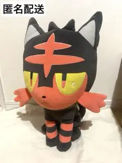 ポケモン ニャビー 等身大ぬいぐるみ おまけぬいぐるみ付き　まとめ売り 2025年最新】ニャビー等身大の人気アイテム - メルカリ