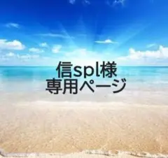 信spl様　専用