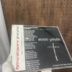 Sonic Youth Youth Against Fascism