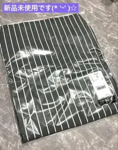 Item thumbnail for item 491ed224-9bd8-43e4-b8e3-e51a0071c006