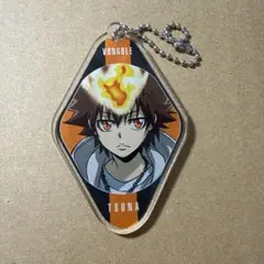 家庭教師ヒットマンREBORN ストリート キーホルダー 沢田綱吉