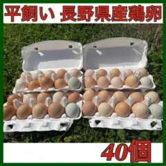 卵 鶏卵 新鮮卵 アローカナ 星野ブラック 美味しい卵 1