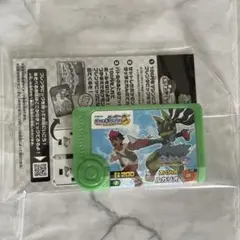 ポケモンスタンプラリー2025 ポケモンフレンダピック　スペシャルルカリオ