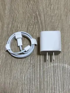 iPad付属　Apple純正USB-C充電ケーブル＆20W ACアダプタセット