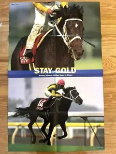 jra ヒーロー列伝　ステイゴールド　B2 Yahoo!オークション - JRAヒーロー列伝＃49 ステイゴールド