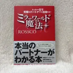 ミラーワールドの魔法 : たった一日で究極のパートナーと出会える!