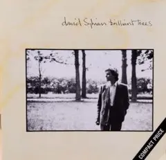 美品CD!! Brilliant Trees デヴィッド・シルヴィアン UK盤