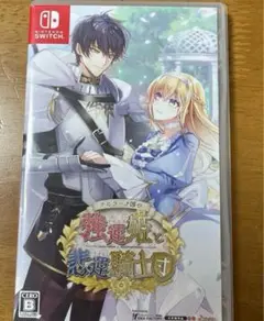 テミラーナ国の強運姫と悲運騎士団 Nintendo Switch ツイツイ
