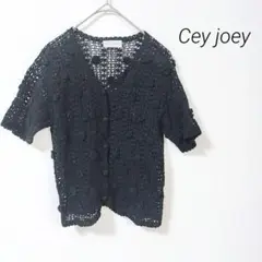 Item thumbnail for item a2658a47-12af-4125-9a64-88f4c0d40d9c