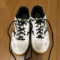 ミズノ　MIZUNO バレーシューズ
