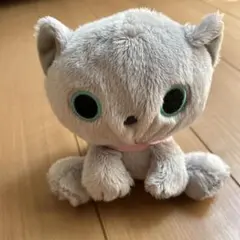 靴下にゃんこぬいぐるみ