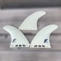 フューチャー　フィン　トライ