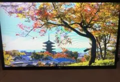 LG モニター ディスプレイ 32MP58HQ-P 31.5インチ