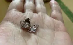 Item thumbnail for item 8a370de2-8974-4797-8cda-07ae44ea0659