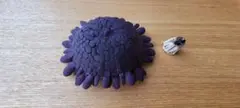 ミナミジンガサウニ　骨格標本 ミナミジンガサウニ 半分骨格標本 - メルカリ