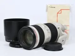 Item thumbnail for item 039022bb-a48e-46f9-a9d8-f47f9e5d2812