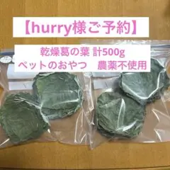 Item thumbnail for item b83d465a-e5d1-4e1f-9259-76193aff8729