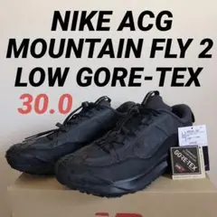 Nike ACG Mountain Fly 2 Low Black 30.0