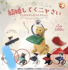 結婚してくニャさい　サバトラ　ハチワレ