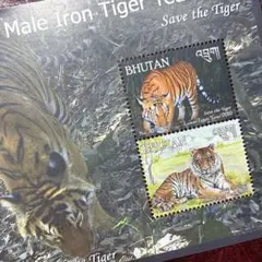 Item thumbnail for item 82fdc420-49d0-4081-9ca1-d4d872adca8e