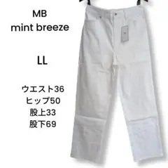 Item thumbnail for item 4843e735-7ccc-442f-adbf-4b654597677c