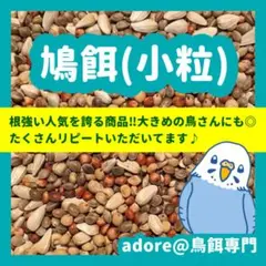 Item thumbnail for item edfbd5fc-428d-4657-a2e7-89590fea38fa