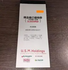最新） ユナイテッドスーパーマーケット USMH 株主優待券 3000円分