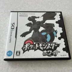 動作確認済 ポケットモンスター ホワイト ニンテンドーDS