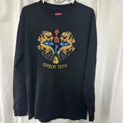 Supreme 17SS Truth Tee 刺繍 長袖 M