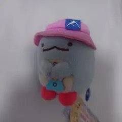 【新品】すみっコぐらし　てのりぬいぐるみ　とかげ　キャンプ　2020年