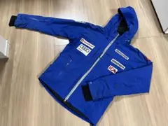 ★お洒落★ゴールドウィン スウェーデンチーム レプリカ 技術選 SAJ デモ