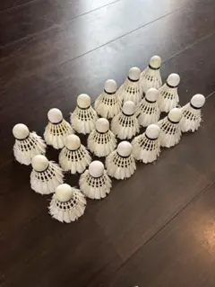 Item thumbnail for item ece582e3-a554-40b0-9063-5709eedea54f