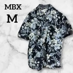 Item thumbnail for item 5628ff23-4ee4-4f39-b423-de6b9d72c9e6