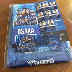 Item thumbnail for item d1506899-2785-4172-974d-2e77de5a1fb7