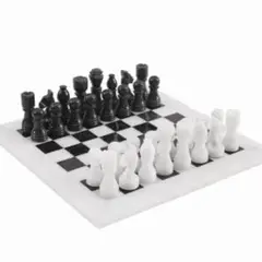 RADICALn 黒と白のチェスゲーム 手作り大理石チェスセット