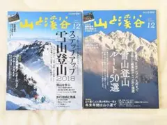 山と渓谷 雪山 冬山 特集 2018年12月号 2017年12月号 2冊セット