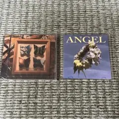 ミニマムジーク CDセット 標本 & ANGEL 最終価格