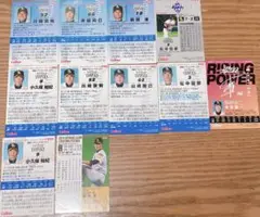 プロ野球チップスカード2006〜2014ソフトバンクホークス11枚セット
