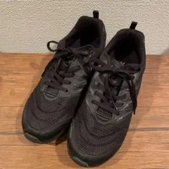 瞬足　25.0㎝　EE