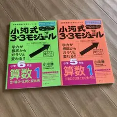 小河式3・3モジュール 小学6年生 算数1,2,3セット 3ヶ月で、1学年分を学べる！『小河式3・3モジュール 小学6年生
