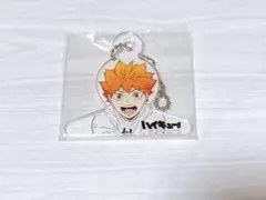 ハイキュー ミニハンガーアクリルチャームコレクション 日向翔陽