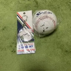 ヤクルトスワローズ　村上さんセット