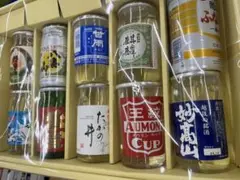 新潟地酒ワンカップ10種ギフトボックス入り