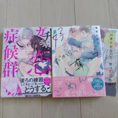 商業BLセット