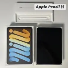 【美品】iPad mini 第6世代スターライト Apple Pencil付き